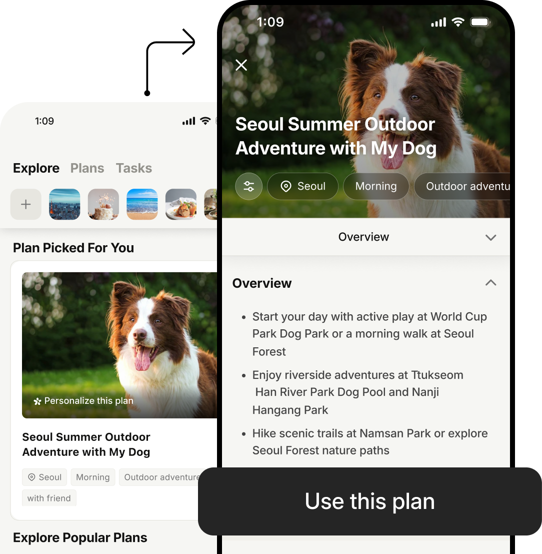 An image of a phone screen showing the functionality of the Aster AI app when you select a plan.